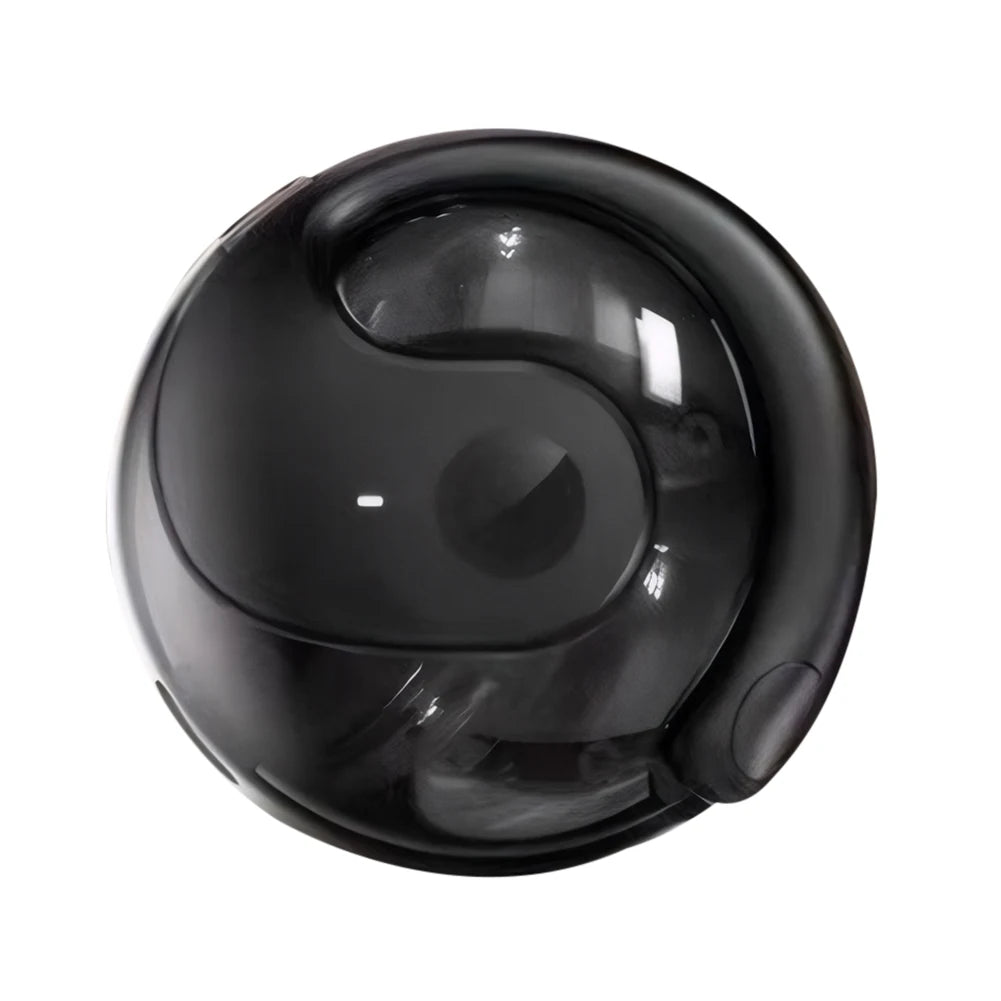 GlobeTalk Earbuds AI-Powered Translation Earbuds Bluetooth 5.0 Audio Noise-Canceling Mic