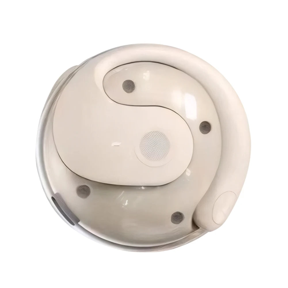 GlobeTalk Earbuds AI-Powered Translation Earbuds Bluetooth 5.0 Audio Noise-Canceling Mic